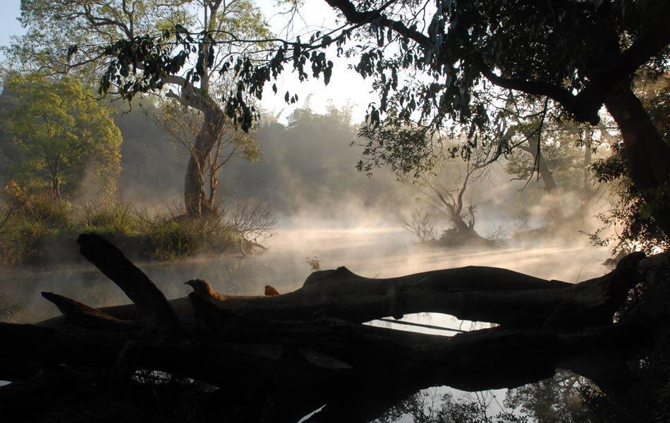 Coorg Anekad Jungle Stay กูชาลนาการ์ ภายนอก รูปภาพ