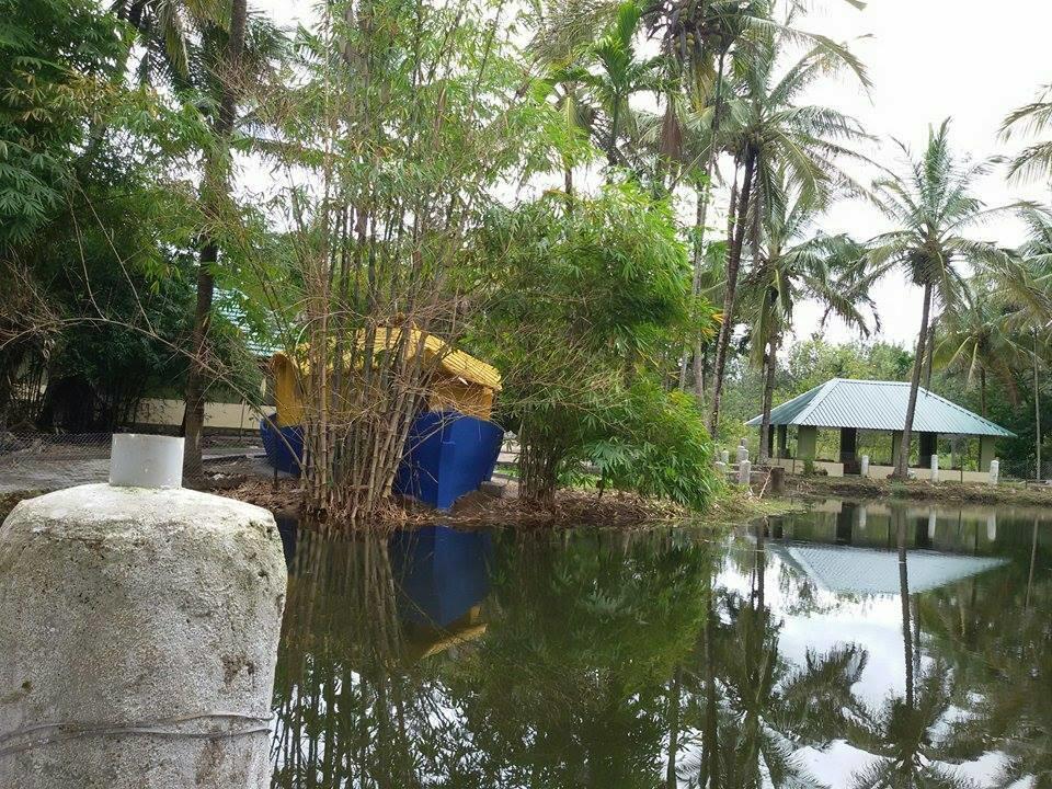 Coorg Anekad Jungle Stay กูชาลนาการ์ ภายนอก รูปภาพ